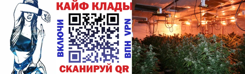 Где найти наркотики Новоалтайск АМФ  Меф мяу мяу  КОКАИН  ОМГ ОМГ как войти  ГАШИШ  Метамфетамин  Канабис  A PVP 