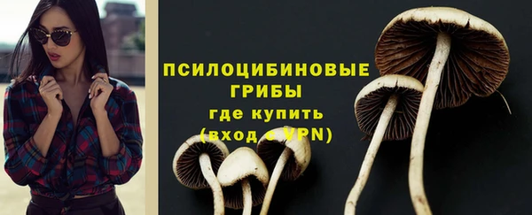 гидропоника Абдулино