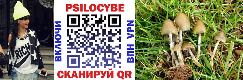 Галлюциногенные грибы мицелий  Новоалтайск 
