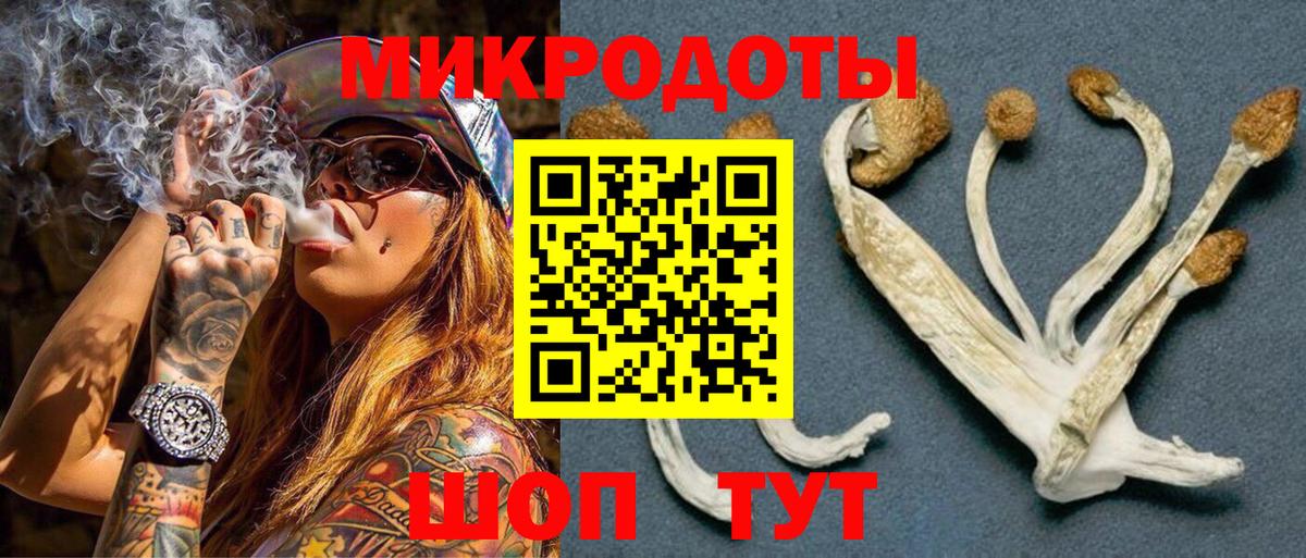 Галлюциногенные грибы прущие грибы Новоалтайск