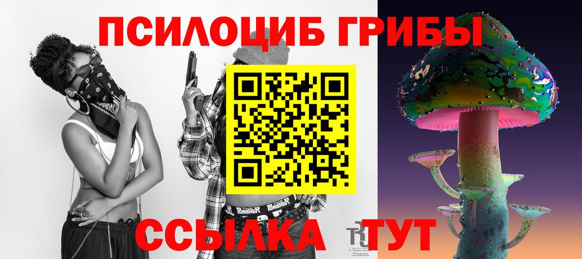 Новоалтайск  Галлюциногенные грибы прущие грибы  Вход с VPN  Галлюциногенные грибы мицелий 