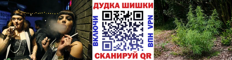купить закладку  Новоалтайск  Бошки Шишки индика 